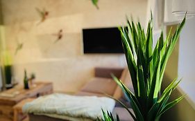 Apartmany Petr Vok